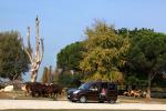 Fiat Doblo 2010 года